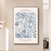 Vintage Blue Coastal Decor Posters, Conch Seashell Wall Arts Prints, Summer Ocean Themed Prints Blue Conch Posters Unframe