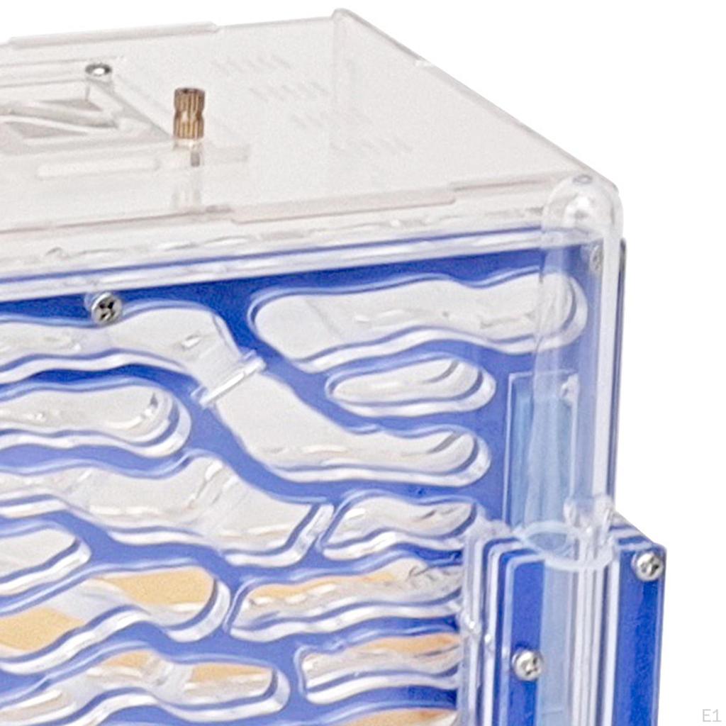 Домик Nest Farm Среда обитания Инкубатор для разведения на День рождения Дом День защиты детей