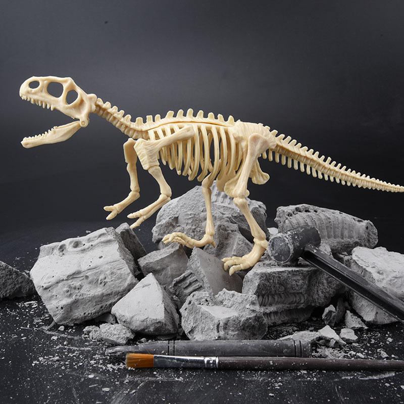 DIY Dinosaur Fossil Excavation Toy: Tyrannosaurus & Triceratops Skeleton Models for Kids