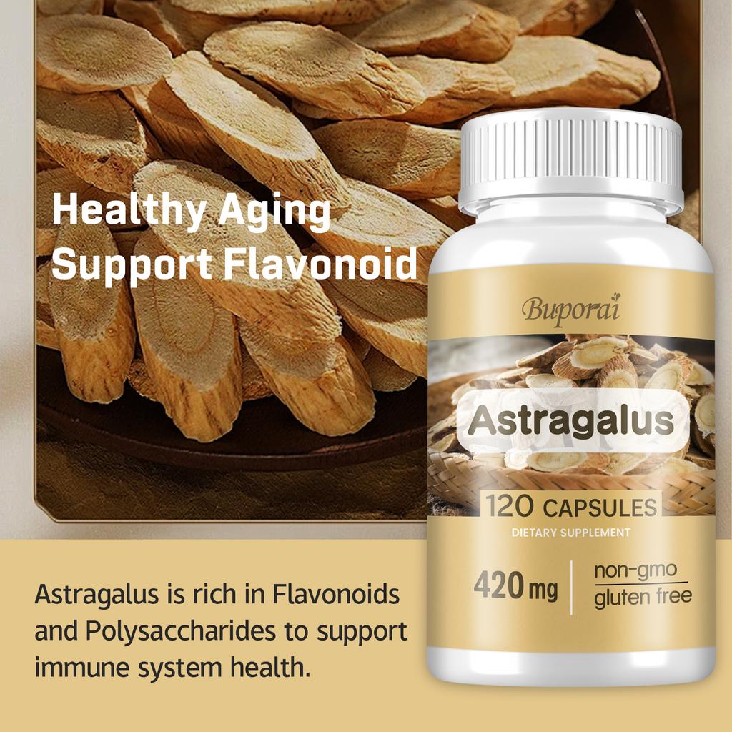 Buporai Astragalus Root Capsules, Astragalus Root 10:1 Extract, 420 mg per serving, suitable for adults.