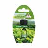 METROX Scented Oil for Humidifiers, Green Tea