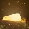 AmmToo Duck Light, Night Light, Ambient Lighting, Lamp, Cute and Stylish, Duck Light, Nursing Light, Bedside Lamp, USB Rechargeable, 30-Minute Timer