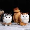 Сидячая поза Реалистичная кошка Чучело 3D глаза Реалистичная кошка Плюшевая игрушка Домашний декор