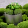 Simulated Moss Stone Artificial Moss Stone Ball Imitating Green Plants Home Garden Flower Pot Decoration Office Plant Decoration