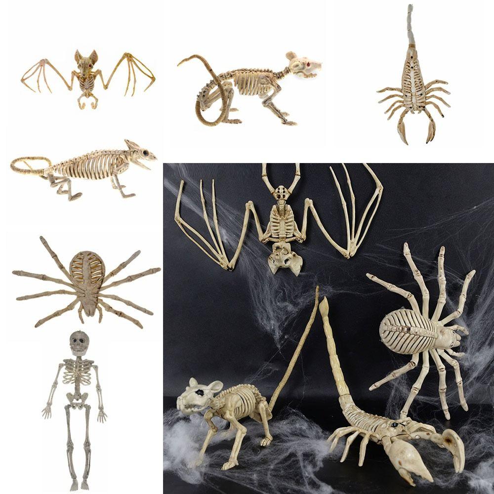 Skeleton Model Halloween Animal Skeleton Bat Mouse Lizard Scorpion Halloween Bats Skeleton Home