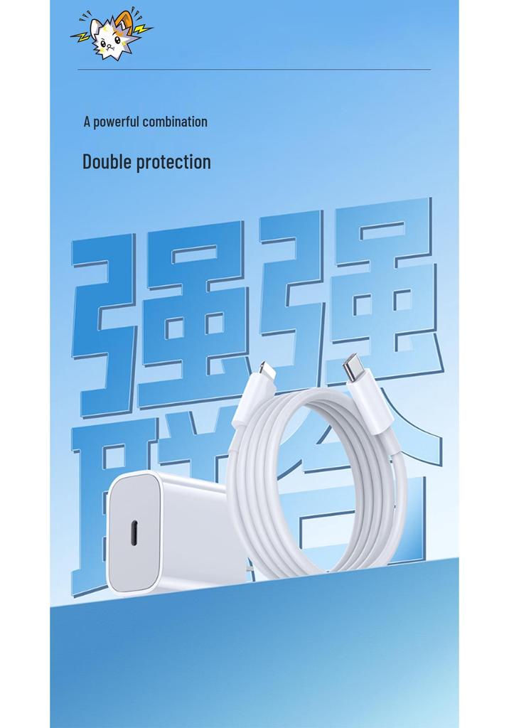 Dianpingfan C20L PD20W Быстрое зарядное устройство для серии 14, 1 м (C-L)