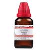 Dr. Willmar Schwabe India Artemisia Vulgaris Dilution - 12 CH - 30 Ml