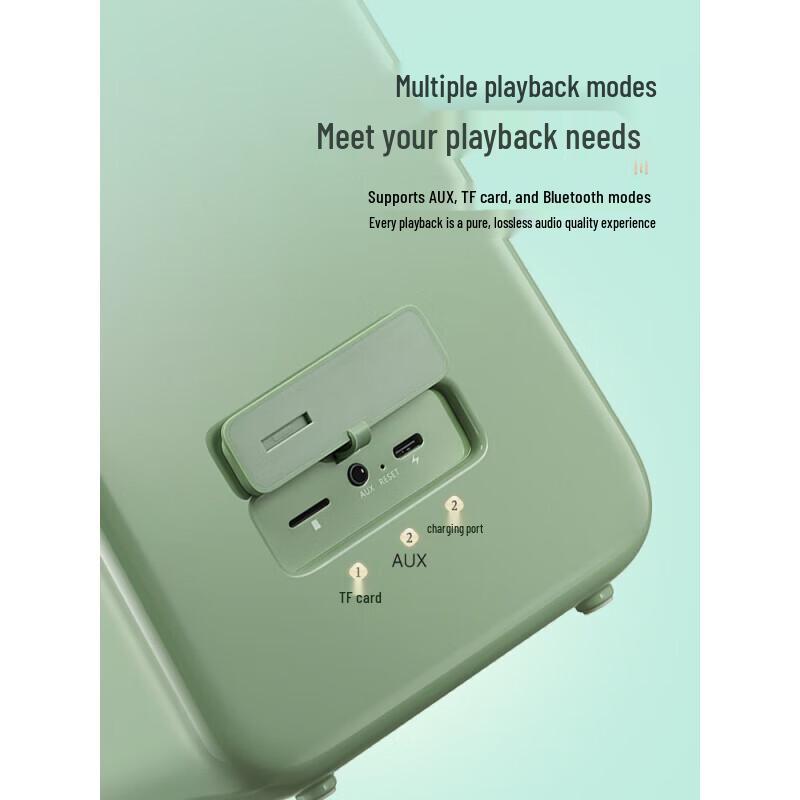 Divoom S-SongBird Portable KTV Bluetooth Speaker with Dual Microphones