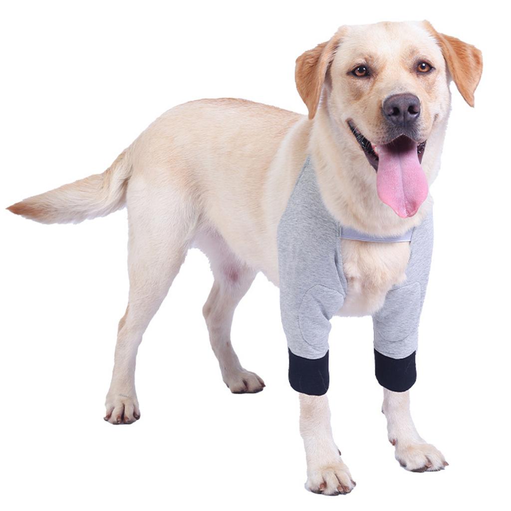 Регулируемые бандажи для передних лап собаки с мягкой хлопковой подкладкой для комфортной поддержки суставов и заживления травм суставов