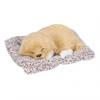 Realistic Sleeping Dog Realistic Sleeping Puppy Children Toys Decorations Gifts for Boys GirlsLabrador
