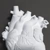 Anatomical Vase Resin Ornaments Art Style Flower Plant Container Heart Shape Flower Vase  Farmhouse