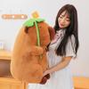 Capybara Lotus Leaf Plush Toy Soft Stuffed Animal Dolls Kids Birthday Gifts