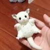 Мультяшное животное Маленькая летучая мышь Подвеска Мягкая набитая Сахарный поссум Кукла Брелок Декор для сумки Подарок