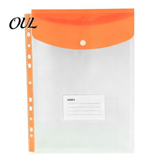 File Pockets 11 Hole Binder for A4 Binders, Plastic Expanding Folders Multi Color with Snap Closure & Transparent Label Slot, Durable Document