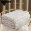 Coral Velvet Blanket Office Nap Blanket Sofa Blanket Quilt Autumn and Winter Student Dormitory Single Bed Sheet