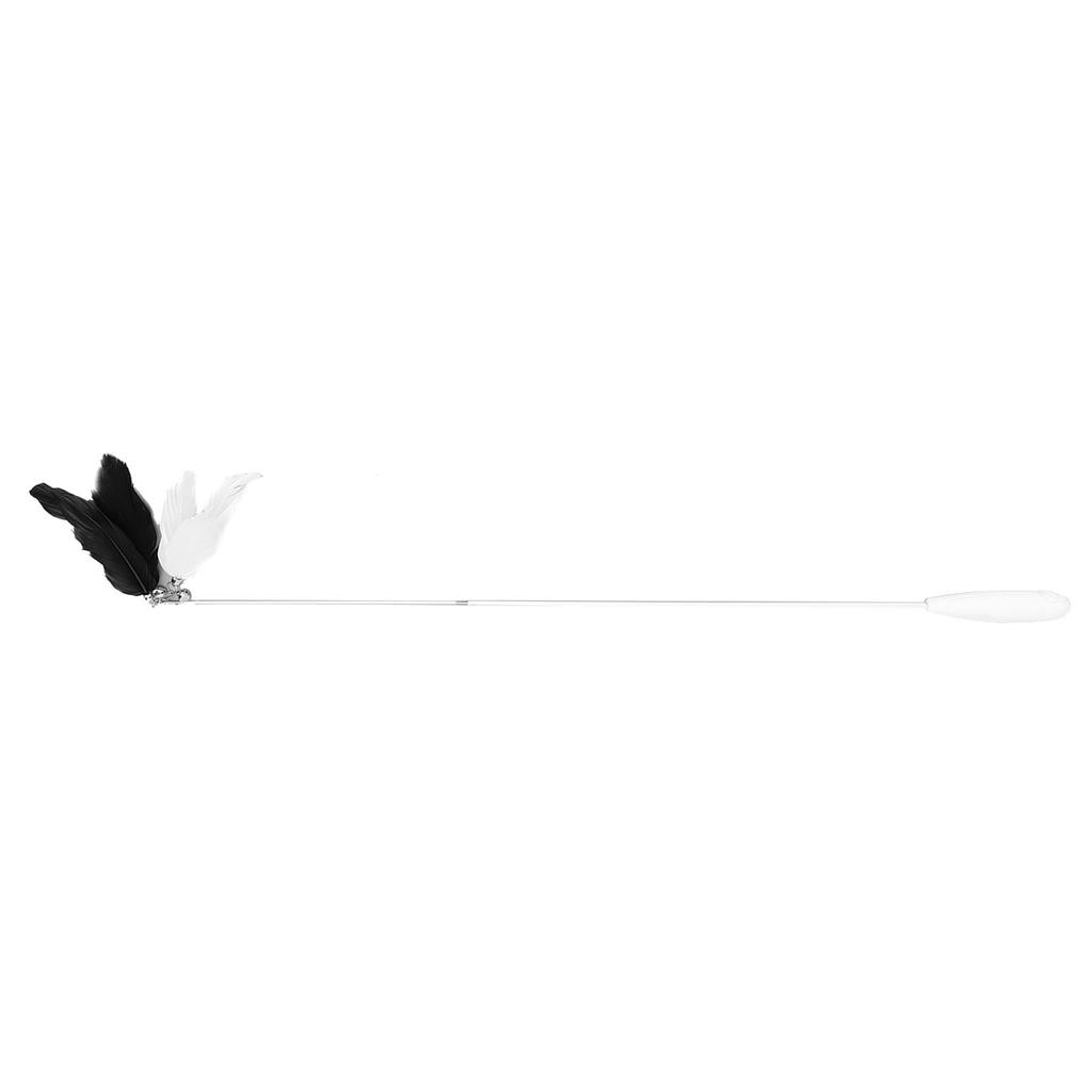 Telescopic Cat Wand Fun Comfortable Grip Detachable Feather Interactive Cat Teaser Toys Exerciser