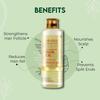 Jovees Herbal Bringraj Olive Bio Advanced Hair Oil For Dry Damaged Hair Nourishes Scalp 200ml