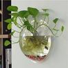 Настенная акриловая аквариум-шар Прозрачный настенный аквариум Настенный аквариум Настенный цветочный горшок Кашпо