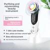 Electronic Beauty Instrument Household Facial Temperature Lifting Pore Cleaner Face Washing Cleansing Introducer