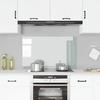 VidaXL Kitchen Backsplash, Transparent, 100x60 Cm, Tempered Glass, Heat and Scratch Resistant, Wall Panel, 249477