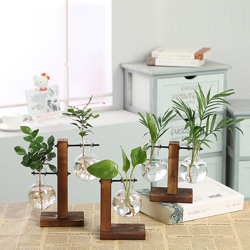 Creative Glass Bottle Vase with Wooden Stand - Hydroponic Display for Green Radish Plant, Transparent Desktop Ornament