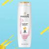 Pantene Шампунь для восстановления окрашенных волос и волос после химической завивки