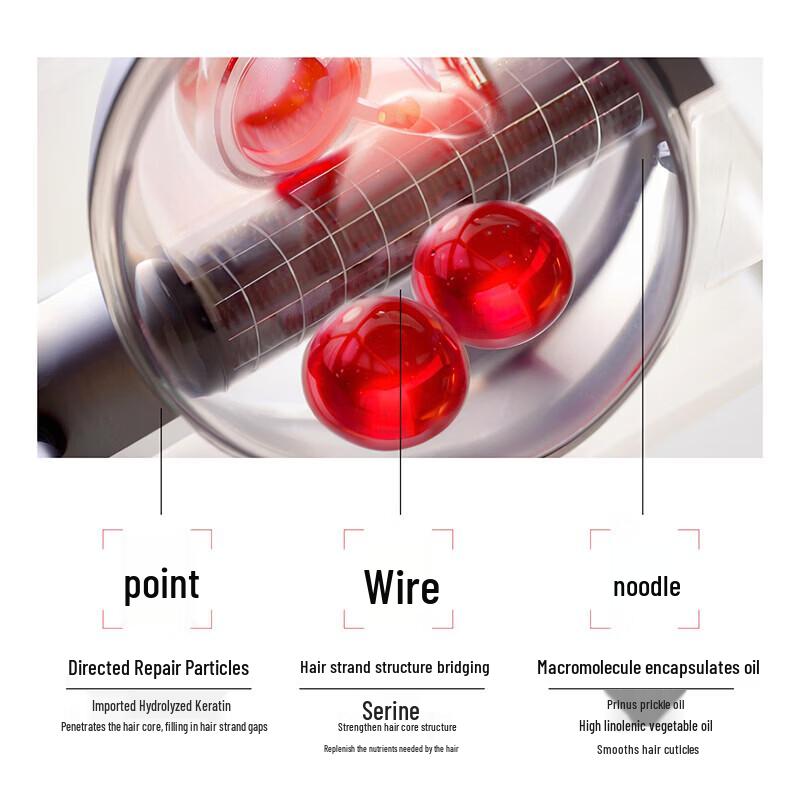 SURE Camellia Shampoo & Shower Gel Set