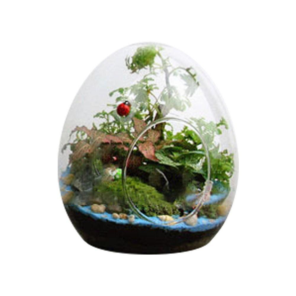 Egg-shaped Hydroponic Glass Bottles Home Decoration Succulent Glass Vase Micro Landscape Glass