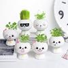 Creative Potted Gifts: Small Plants for Kids To Observe Growth - Ideal for Kindergarten Birthdays & Student Prizes
