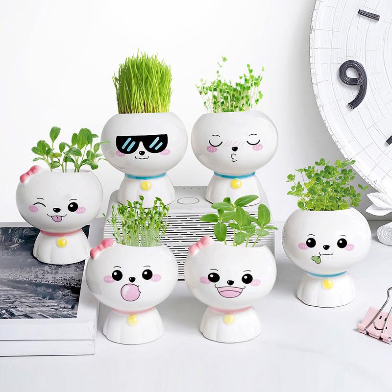 Creative Potted Plant Gifts for Kindergarten Birthdays and School Prizes
