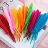 50Pcs Decorative Painting Feather Color Small Straight Knife Kindergarten Handmade Diy Decorative Wings Artwork Creative Art Materials