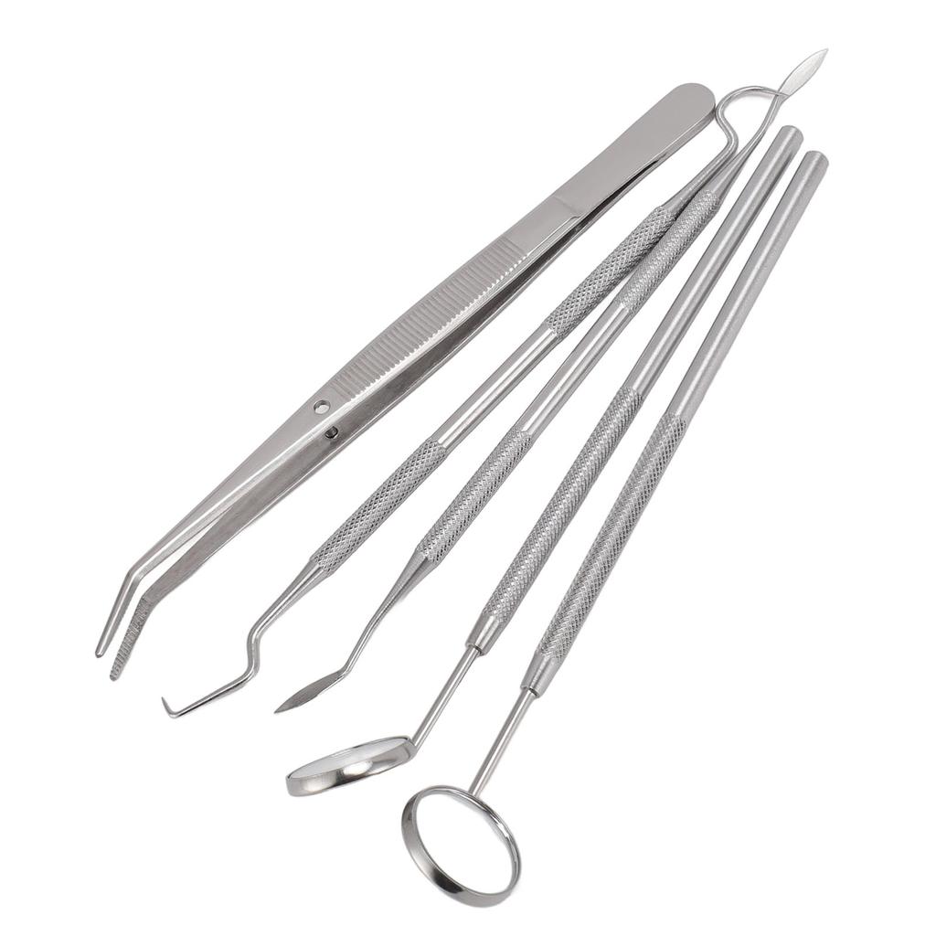 5 шт. профессиональные инструменты для ухода за полостью рта из нержавеющей стали, инструмент для удаления зубного камня и чистки зубов