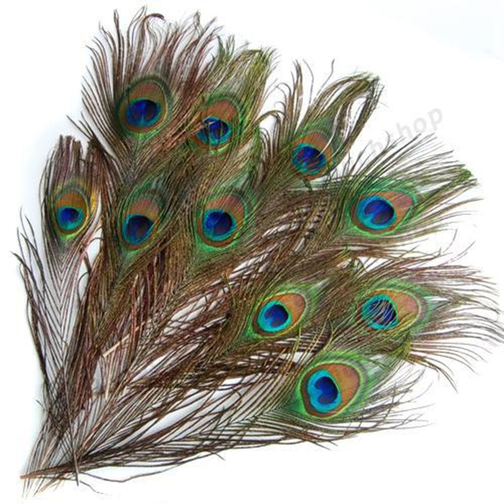 Useful Clothes Decals DIY Party Decor Natural Plume Peacock Eye Feathers Tail Artwork Ornaments