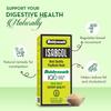 Baidyanath Asli Ayurved Isabgol Psyllium Husk Powder 100 gm | Natural Fiber Digestive Support