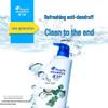 Шампунь Head & Shoulders от перхоти, регулирующий жирность и снимающий зуд, 750 г