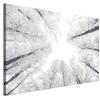 Picture On Italian Canvas 90 X 60 Cm - Scandinavian Style - Nature Picture On Italian Canvas 120 X 80 Cm - Scandinavian Style - Nature