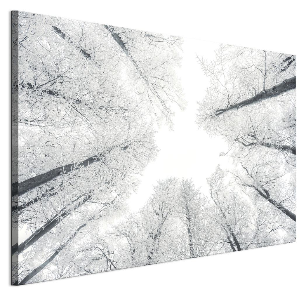 Obraz Na Płótnie Włoskim 120 X 80 Cm - Styl Skandynawski - Natura