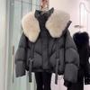 Winter Women's Fashionable Loose Thick Down Jacket