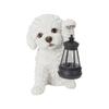 Ubia Toy Poodle, Shiro, Holding a Solar Lamp with His Left Hand, 15 X 10 X 16 Cm, Doll, Figurine, Ornament, Animal, Garden Decor, Dog, H24094