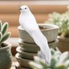 NEW 1/2PCS WHITE Pigeons Decoration For Wedding Christmas Home Fake Bird White Doves Artificial Foam Feathers Birds