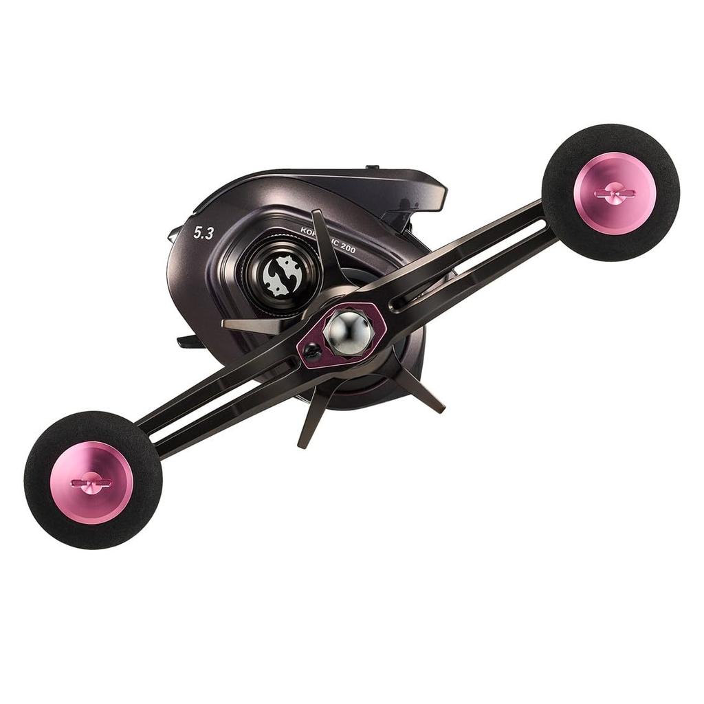Daiwa 24 Kouga IC 200P Counter Baitcasting Reel