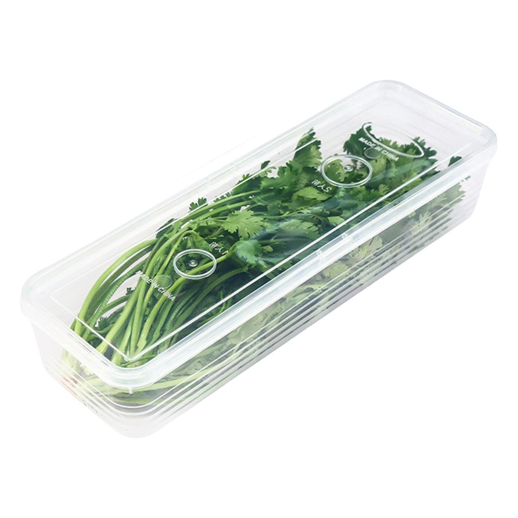 Durable PP Material Airtight Food Storage Container Home Kitchen Organizers For Organizing Scallions Ginger Garlic