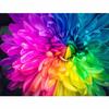 Diamond Painting Cross Stitch Seven Colored Chrysanthemum Flower Diamond Embroidery