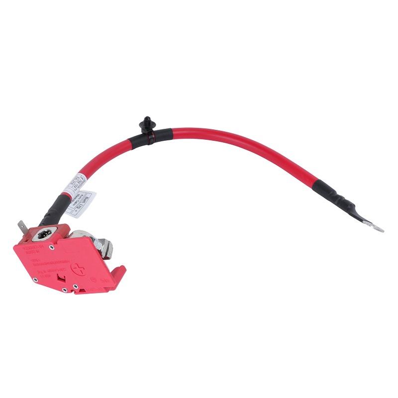 61128796155 Car Positive Battery Cable 61128796959 61128704706 For BMW 3 4 Series G20 G21 G22 G23 H2