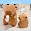 Bottle Capybara Ab Dress Up Cartoon Plush Toys Childres Birthday Dolls Gifts