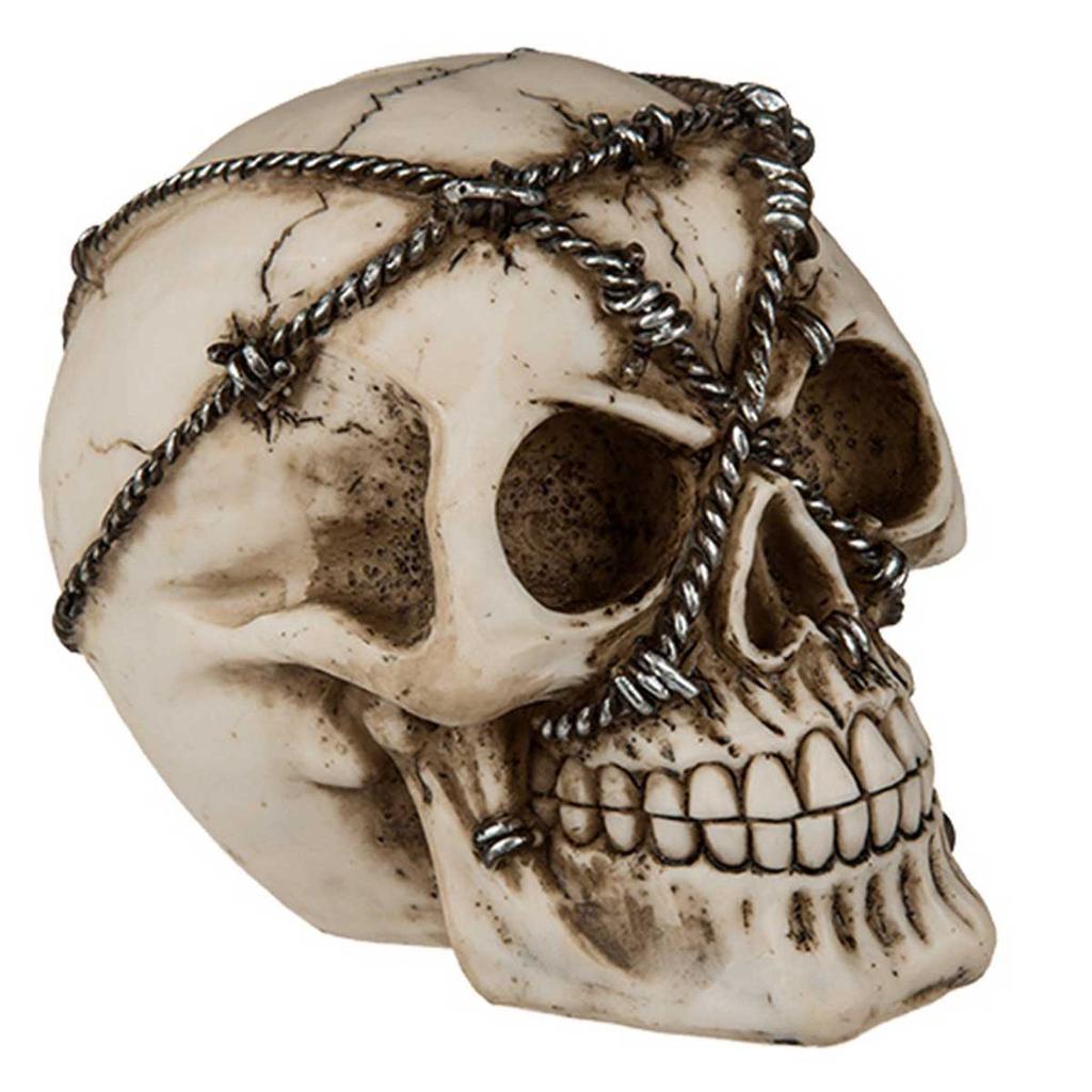 Les Trésors De Lily [A3299] - Beige 'Skull' Resin Figurine (barbed Wire) - 16x13x12cm