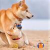 Sound Pet Supplies Chew Toys Relieve Boredom TPR Sounding Toy Elasticity Ball Molar Ball Dog  Toy