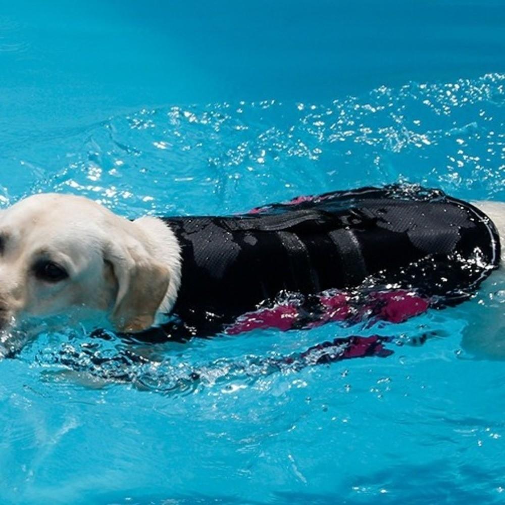 Adjustable Pet Safety Vest Enhanced Buoyancy Dog Swimming Suit  Outdoor Activities