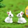 Micro Landscape Ornaments Cartoon Cute Little Rabbit Animal Resin Ornaments Succulent Potted Plants Desktop Decoration