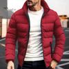 Мужское пальто с воротником-стойкой, длинным рукавом, застежкой-молнией, стеганая куртка, однотонное утолщенное свободное пуховое пальто с боковыми карманами